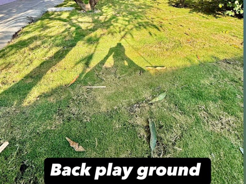 WhatsApp Image 2025-02-12 at 22.28.18